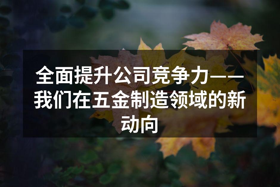 全面提升公司竞争力——我们在五金制造领域的新动向